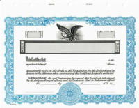 Blank corporate stock certificates. Easy to fill in the blanks from your software or hand write the information.
