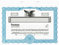 Custom printed corporate stock certificates include numbering, corporation name and two signature lines. You'll also receive 20 matching transfer certificates with your order.