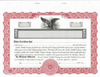 Custom printed LLC stock certificates include numbering, LLC name and two signature lines. You'll also receive 20 matching transfer certificates with your order.