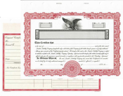 Blank LLC stock certificates. Easy to fill in the blanks from your software or hand write the information.