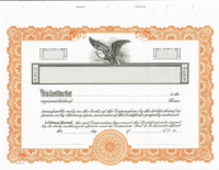 Blank corporate stock certificates. Easy to fill in the blanks from your software or hand write the information.